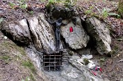 Alla ‘Madunina del Giong’ e ai Prati Parini ad anello da Botta di Sedrina il 12 nov. 2016 - FOTOGALLERY